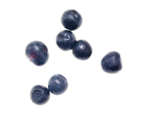 Ripe blueberries on a white background