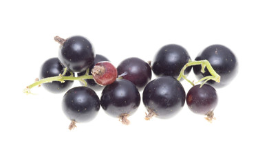 Ripe blackcurrant berries on a white background