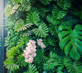 Fototapeta na wymiar Artificial garden green wall of rain forest with flare light from windows