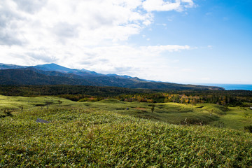 秋の知床　紅葉の知床の原野（北海道・斜里町）