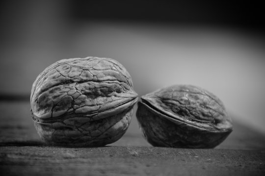 Nueces en blanco y negro