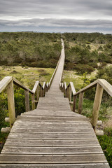 Fototapeta premium Camino de futuro