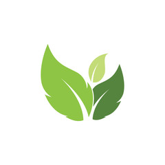 Logos of green Tree leaf ecology nature element