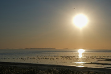 Antelope Island State Park © IDN