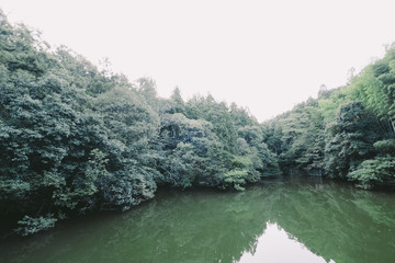 Kyoto Travel :Landscape of Fushimi Iari Taisha