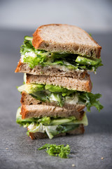 Three sandwiches on top of each other. Layered rustic breads with avocado and fresh salad on grey background.