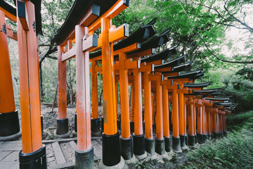 Fototapeta premium Kyoto Travel :Landscape of Fushimi Iari Taisha