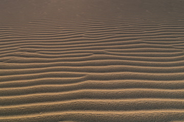 sand dunes background view