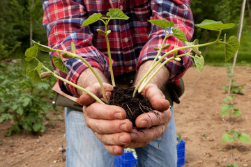 Farmer