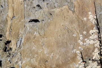 Stone texture background/The detail texture of sandstone/Colorful natural stone background/