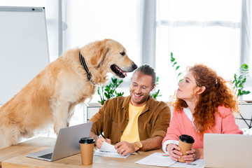 businessman doing paperwork and woman looking at cute golden retriever in office