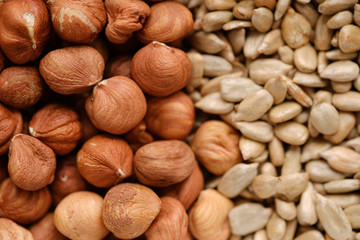 hazelnuts and sunflower seeds