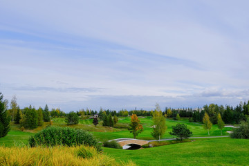 Naklejka premium Landscape. Hills with green lawn and ornamental shrubs and trees lake and bridge. Beautiful garden