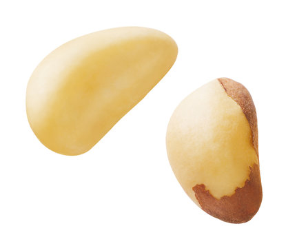 Paranuss
