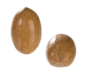 Pekannüsse