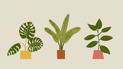 Potted plants collection. Office and house plants art.