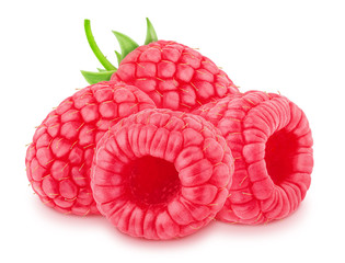 Composition with garden or forest sweet raspberris isolated on white background. As design element.