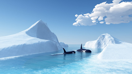 whales swim in the ocean and iceberg - obrazy, fototapety, plakaty