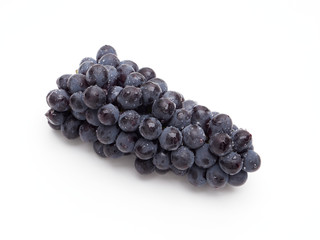 Blue concord style grapes on white