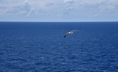 Fototapeta na wymiar Blue oceaBlue ocean on the sunny day.n on the sunny day.