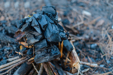 Barbecue coals. Ignition of a fire.