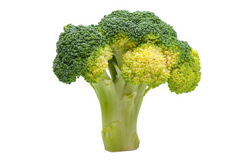 Broccoli isolated on white background sofia