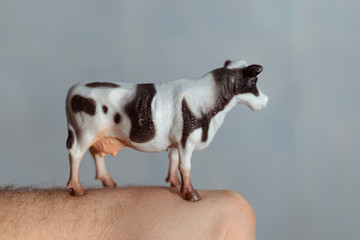 The figure of a cow on a man's hand.