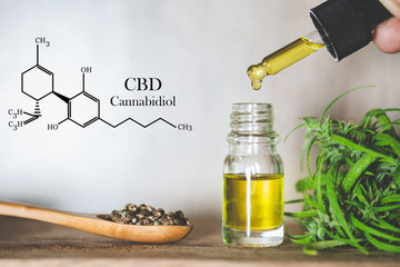  Hemp oil, CBD chemical formula, Cannabis oil in pipette and hemp seeds in a wooden spoon, Medical...