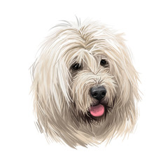 Munsterlander small, German dog digital art illustration. Hunting pointing and retrieving type of purebred animals. Portrait closeup, profile of canine from Munster region isolated vorstehhund.