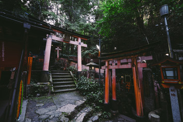 Fototapeta na wymiar Harmony with Nature :Landscape of Fushimi Inari Taisha