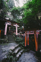 Harmony with Nature :Landscape of Fushimi Inari Taisha