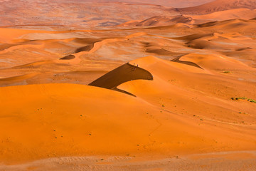 Fototapeta na wymiar Beautiful landscape of orange sand dune desert at Namib desert in Namib-Naukluft national park Sossusvlei in Namibia.