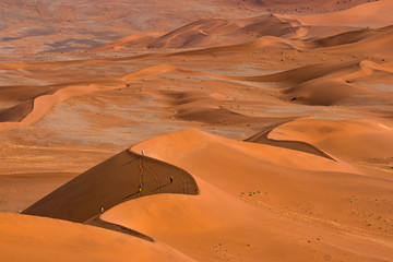 Beautiful landscape of orange sand dune desert at Namib desert in Namib-Naukluft national park Sossusvlei in Namibia.
