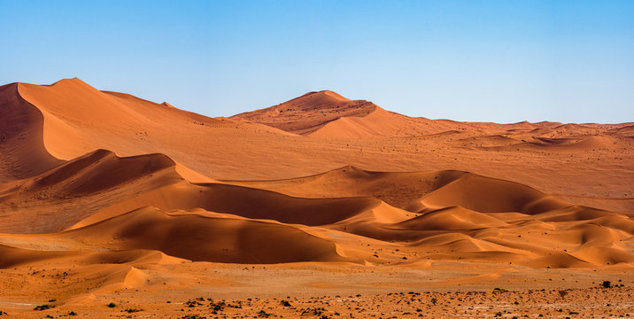 Panorama landscape of orange sand dune desert with clear blue ky at Namib desert in Namib-Naukluft national park Sossusvlei in Namibia.