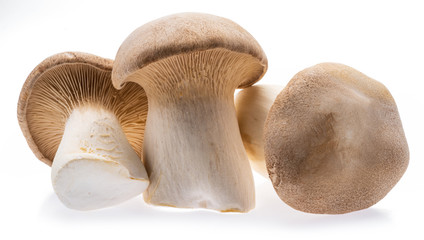 King oyster mushrooms isolated on white background.