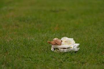 Empty used dirty plastic bottles.