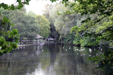 Fototapeta na wymiar St. Stephen´s green park in Dublin.