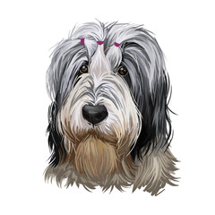 Polish Lowland Sheepdog dog portrait isolated. Digital art illustration of hand drawn dog for web, t-shirt print, puppy food cover design. Owczarek Nizinny, PON shaggy-coated, sheep dog breed