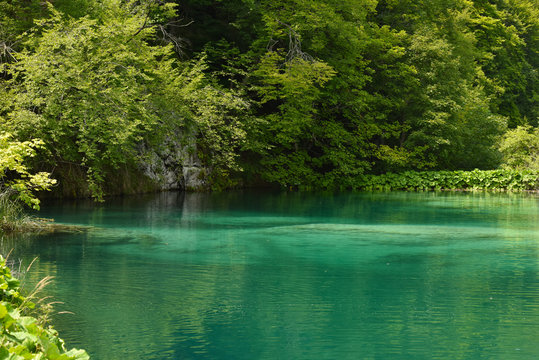 Plitvice Lakes. Nature photo wallpaper. Summer landscape.