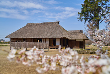 桜町陣屋跡　陣屋