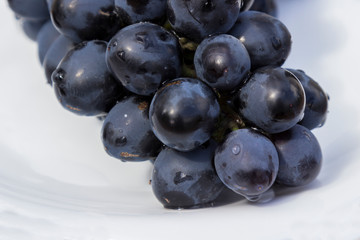 A bunch of black grapes with drops of water on white, close-up