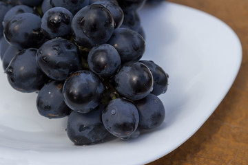 A bunch of black grapes with drops of water on white, close-up.