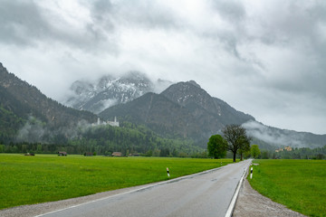 Fototapeta premium Neuschwanstein castle on the mountain of Bavarian apls with forground of green meadow during spring season in Schwangau, Germany.