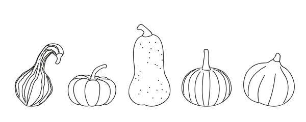 pumpkin different sorts outline on white background vector illustration EPS10