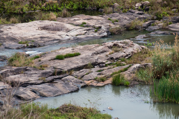 Fast Flowing Umgeni River