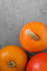 Small pumpkins on a gray concrete background. Top view. Place for text