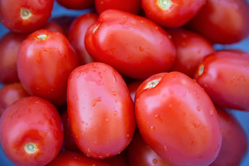 fresh ripe tomatoes for  homemade canned  tomato sauce  (bursa tomato))