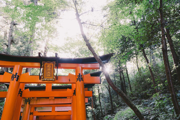 Fototapeta na wymiar Kyoto Travel : Landscape of Fushimi Inari Taisha