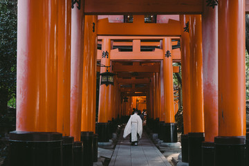 Kyoto Travel : Landscape of Fushimi Inari Taisha