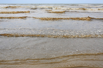 Storming sea with waves crashing. Black Sea.